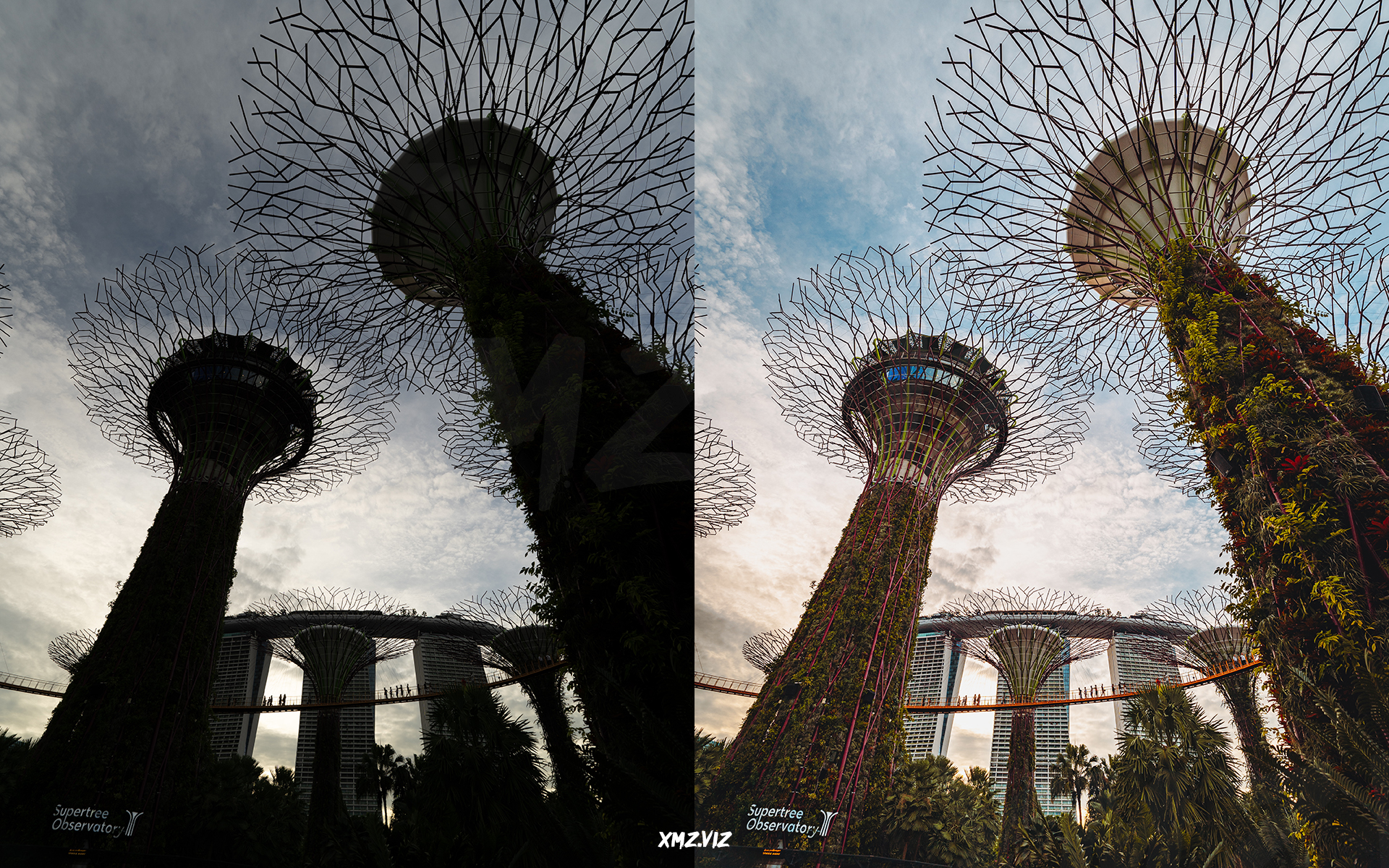 before and after photo of Gardens by the Bay in Singapore